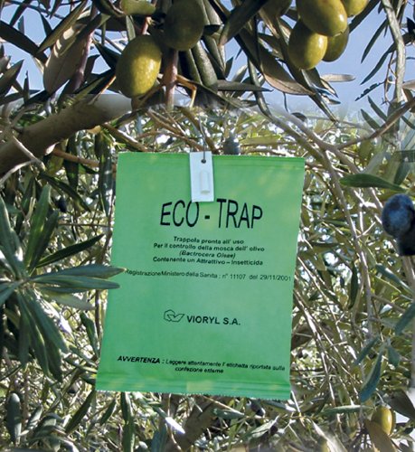 Eco-Trap mosca dell'olivo trappola biologica